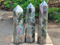 Polished Labradorite Display Crystals x 3 From Madagascar