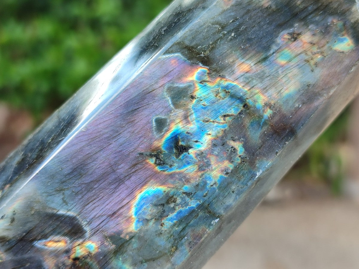 Polished Labradorite Display Crystals x 3 From Madagascar