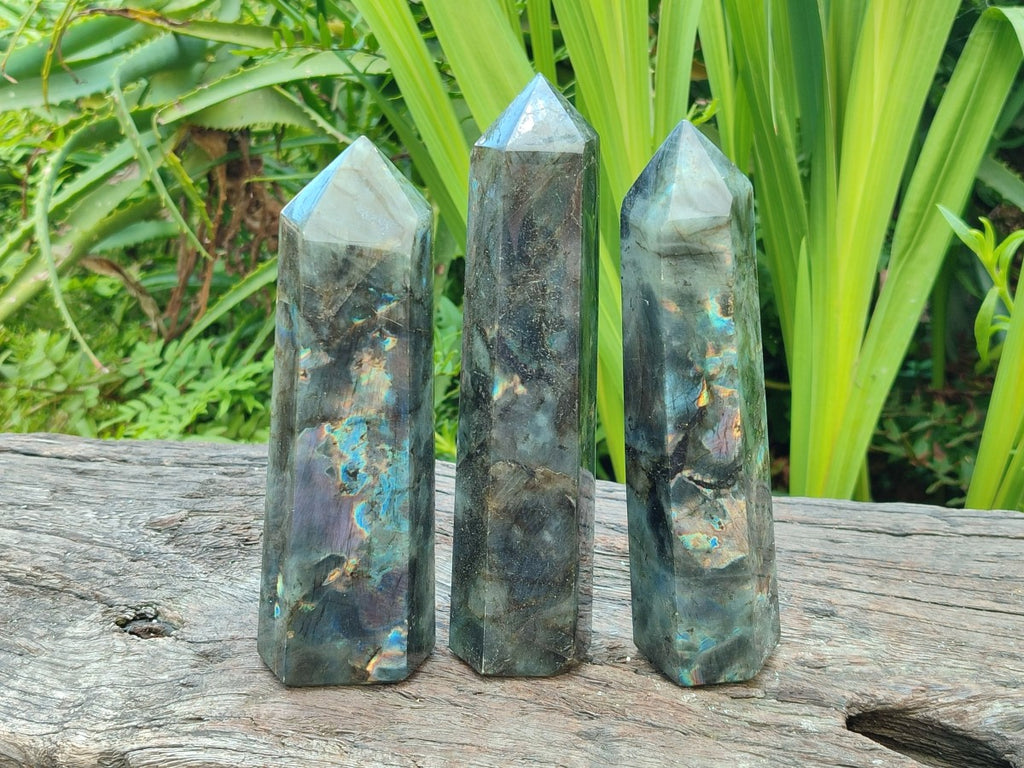 Polished Labradorite Display Crystals x 3 From Madagascar