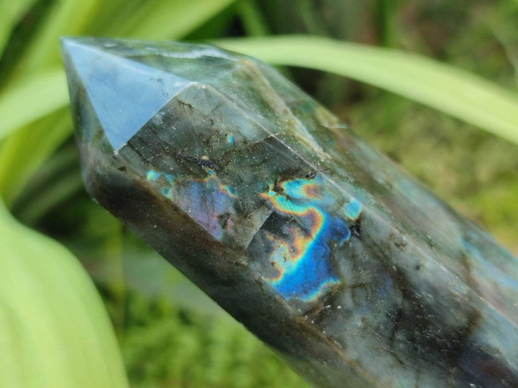 Polished Labradorite Display Crystals x 3 From Madagascar