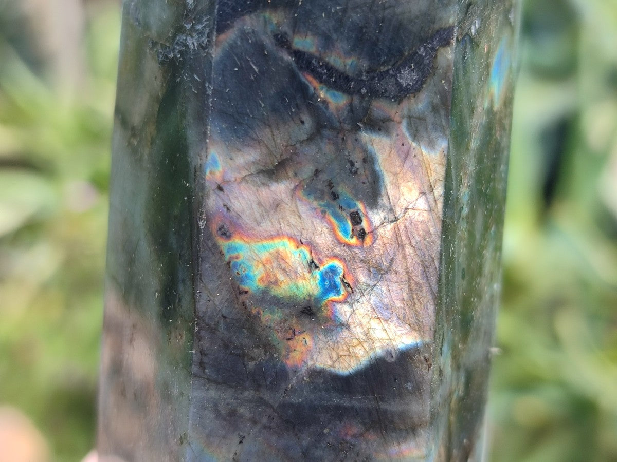 Polished Labradorite Display Crystals x 3 From Madagascar