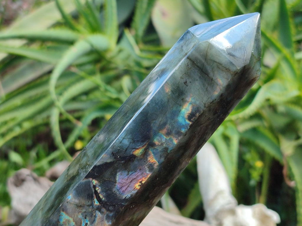 Polished Labradorite Display Crystals x 3 From Madagascar