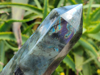Polished Labradorite Display Crystals x 3 From Madagascar