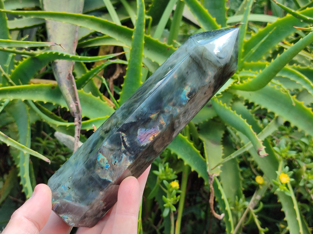 Polished Labradorite Display Crystals x 3 From Madagascar