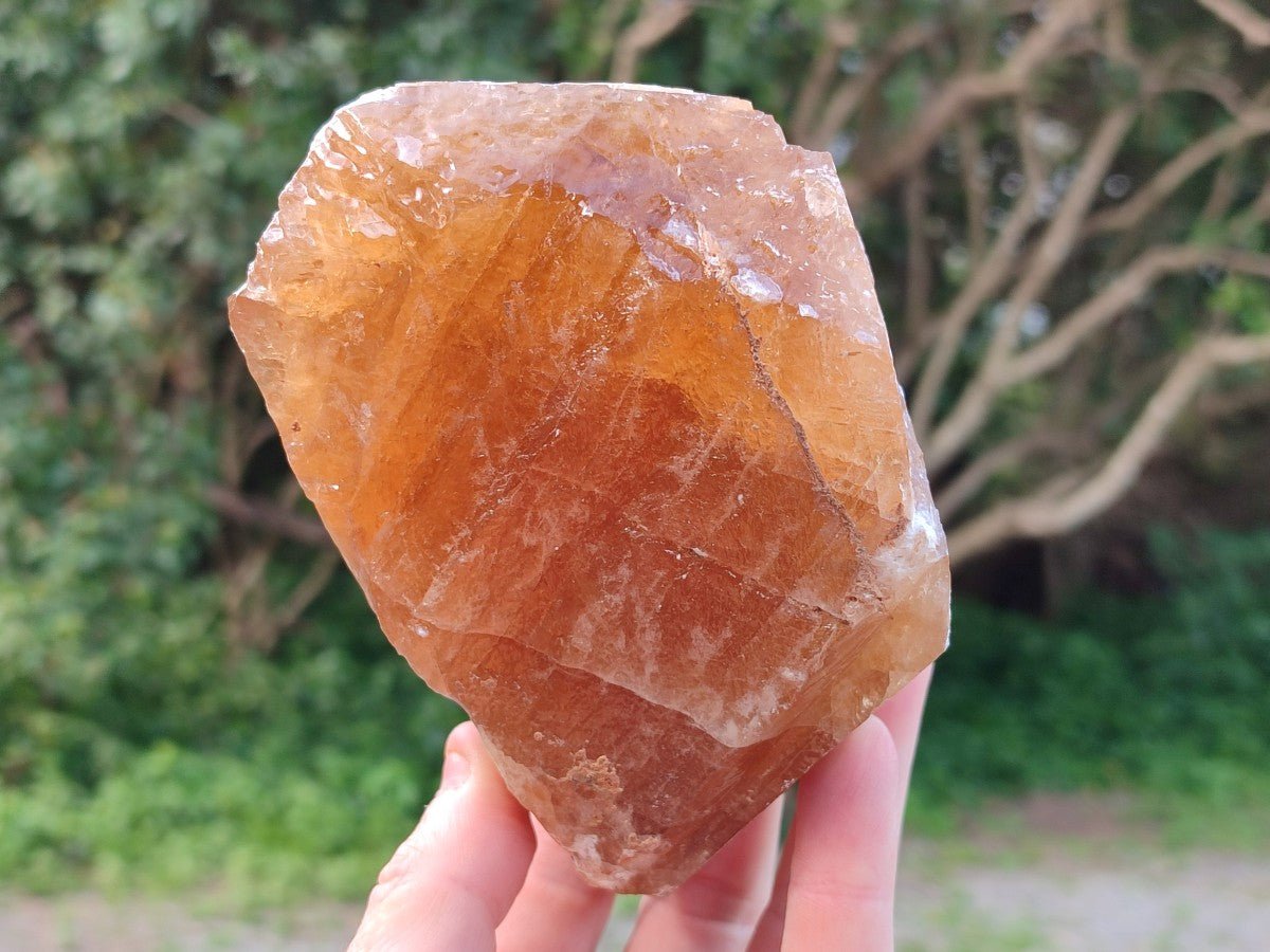 Natural Honey Aragonite Specimens x 3 From Namibia