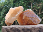 Natural Honey Aragonite Specimens x 3 From Namibia