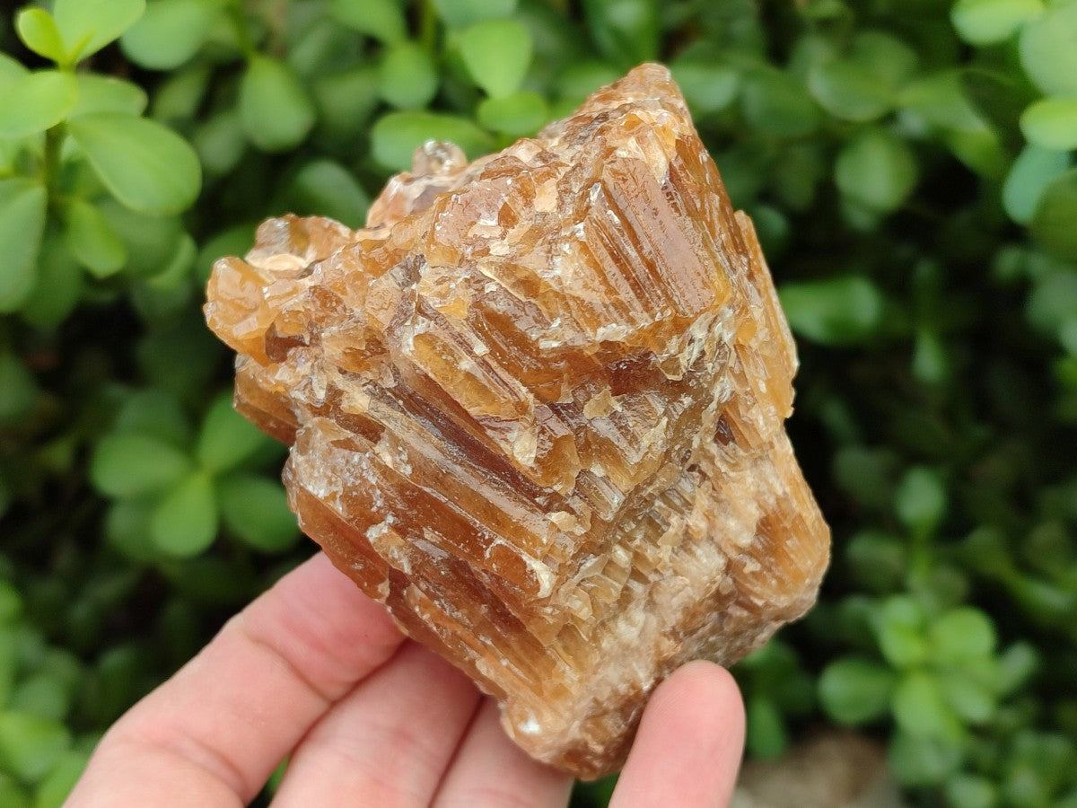 Natural Honey Aragonite Specimens x 3 From Namibia
