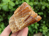 Natural Honey Aragonite Specimens x 3 From Namibia