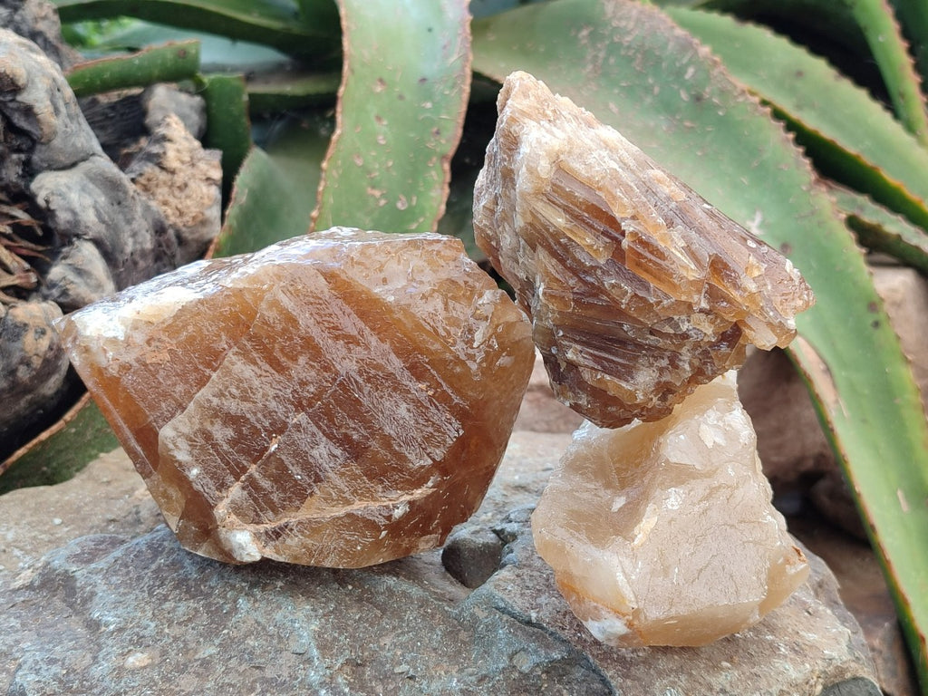 Natural Honey Aragonite Specimens x 3 From Namibia