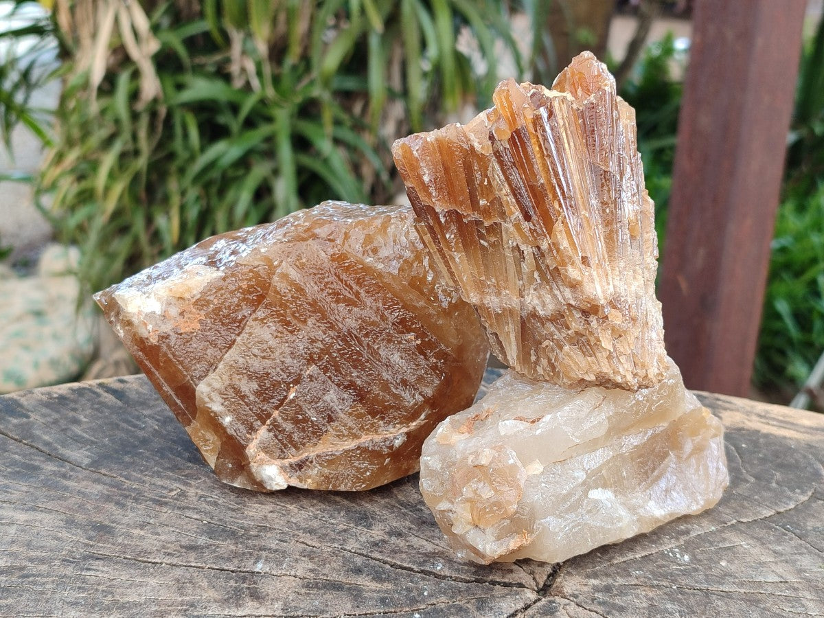 Natural Honey Aragonite Specimens x 3 From Namibia