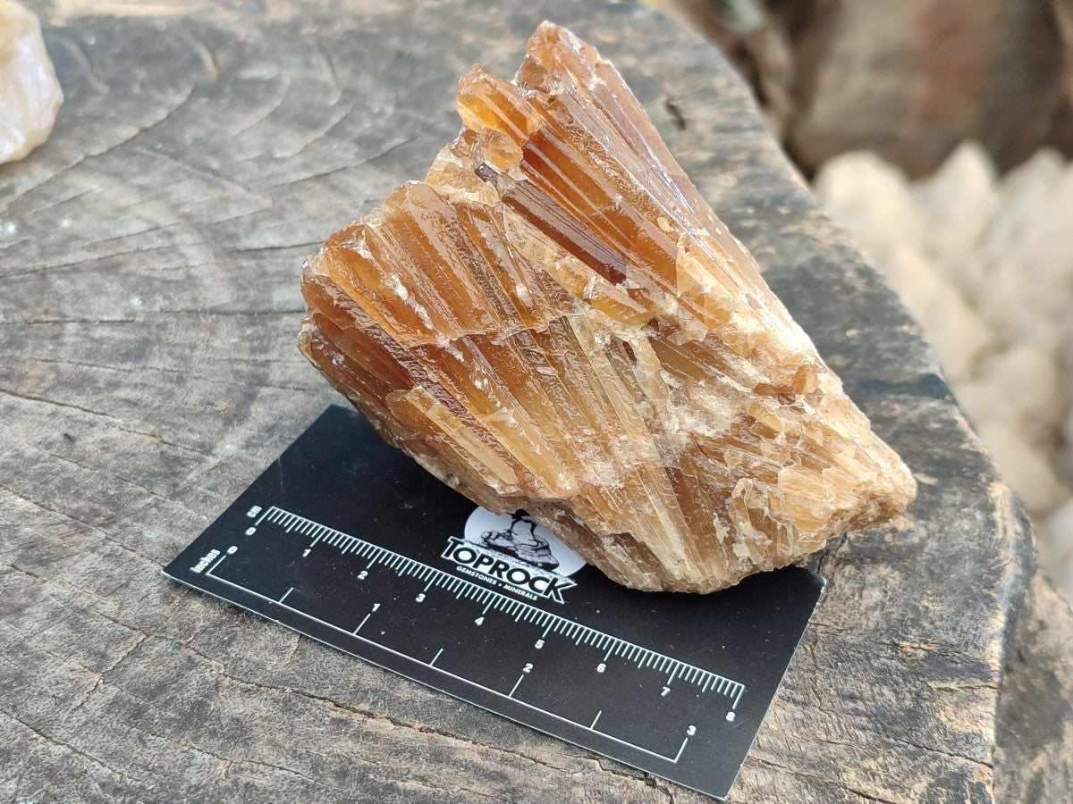 Natural Honey Aragonite Specimens x 3 From Namibia