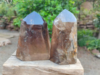 Polished Dark Smokey Marion Quartz Crystals x 2 From Madagascar
