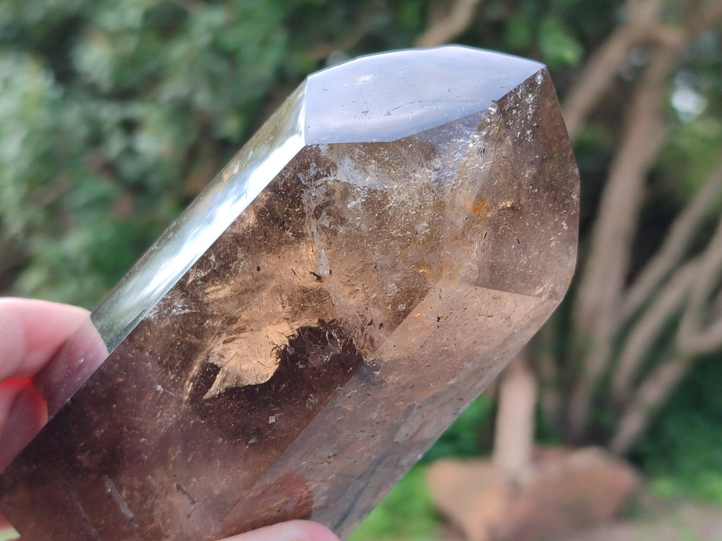 Polished Dark Smokey Marion Quartz Crystals x 2 From Madagascar