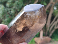 Polished Dark Smokey Marion Quartz Crystals x 2 From Madagascar
