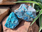 Natural Rough Shattuckite Specimens x 12 From Kaokoveld, Namibia