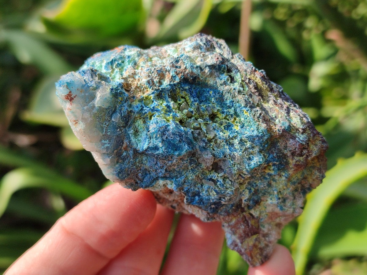 Natural Rough Shattuckite Specimens x 12 From Kaokoveld, Namibia