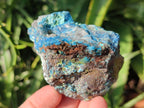 Natural Rough Shattuckite Specimens x 12 From Kaokoveld, Namibia