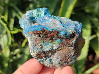 Natural Rough Shattuckite Specimens x 12 From Kaokoveld, Namibia