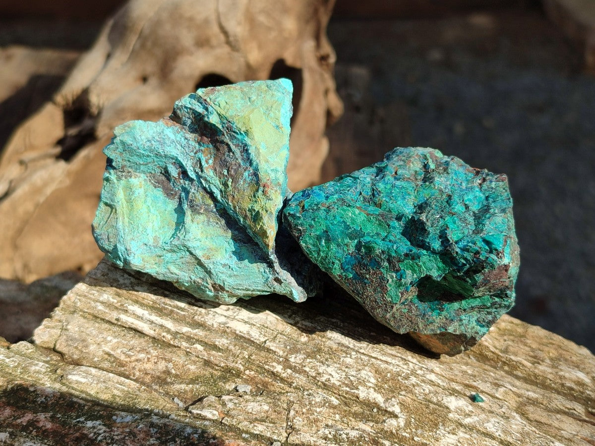 Natural Rough Shattuckite Specimens x 12 From Kaokoveld, Namibia
