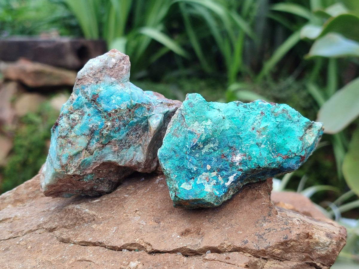 Natural Rough Shattuckite Specimens x 12 From Kaokoveld, Namibia