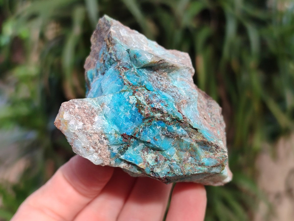 Natural Rough Shattuckite Specimens x 12 From Kaokoveld, Namibia
