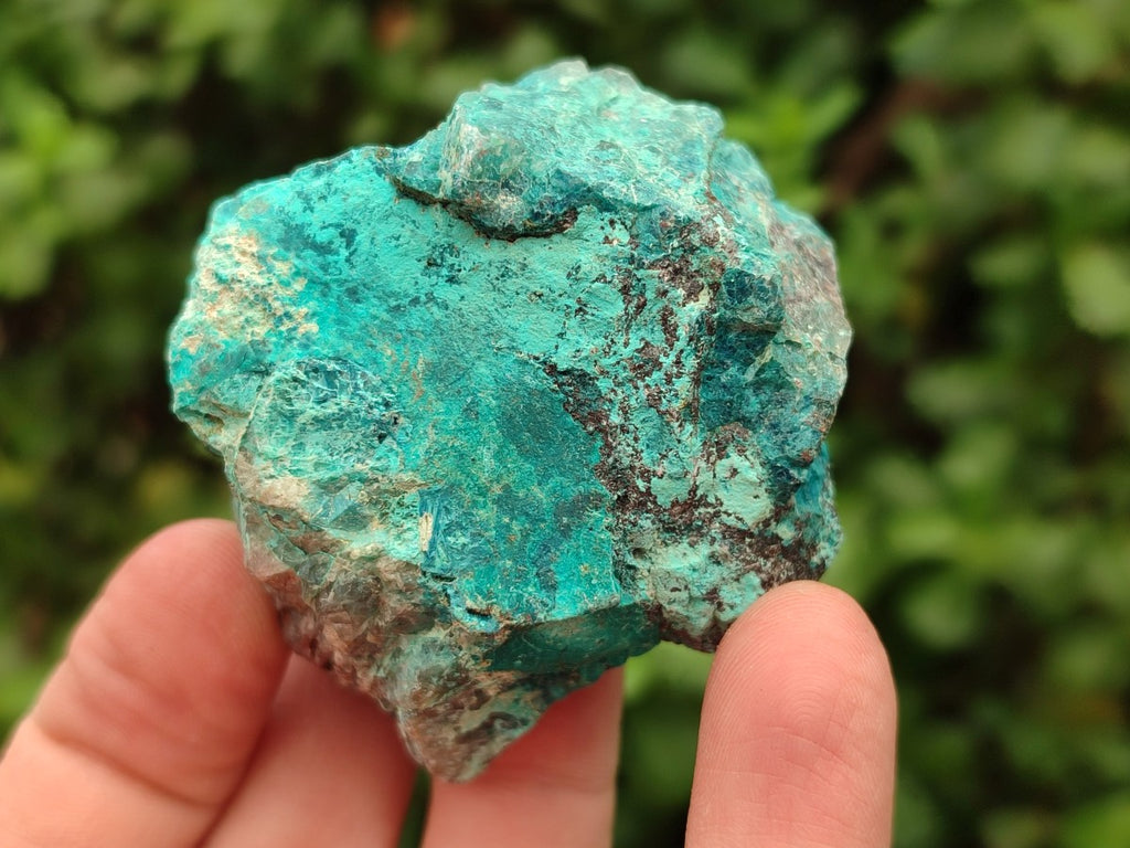 Natural Rough Shattuckite Specimens x 12 From Kaokoveld, Namibia