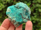 Natural Rough Shattuckite Specimens x 12 From Kaokoveld, Namibia