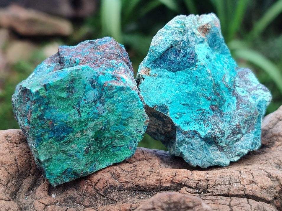 Natural Rough Shattuckite Specimens x 12 From Kaokoveld, Namibia