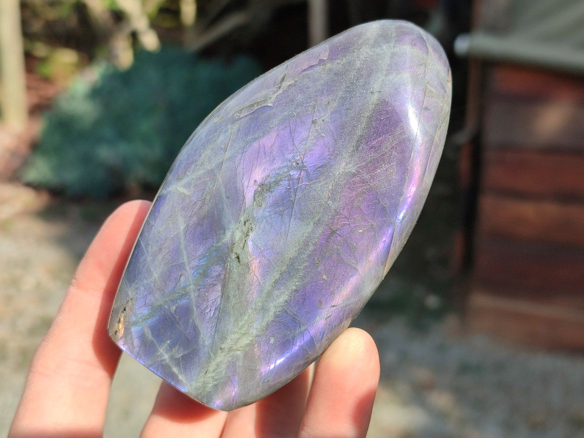 Polished Rare Purple Sunset Labradorite Standing Free Forms x 6 From Madagascar