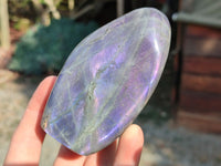 Polished Rare Purple Sunset Labradorite Standing Free Forms x 6 From Madagascar