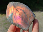 Polished Rare Purple Sunset Labradorite Standing Free Forms x 6 From Madagascar