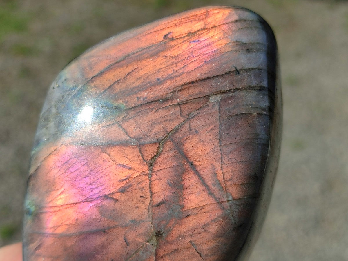 Polished Rare Purple Sunset Labradorite Standing Free Forms x 6 From Madagascar