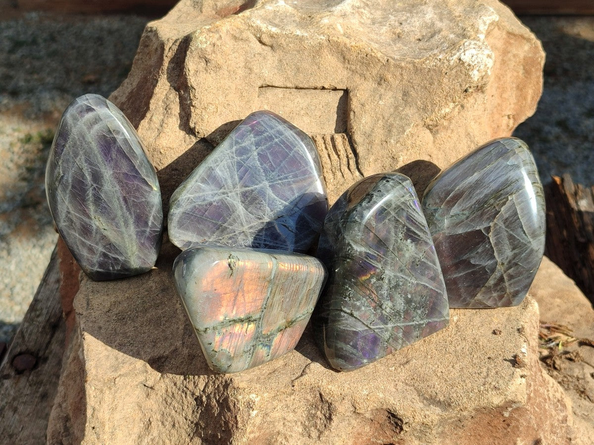 Polished Rare Purple Sunset Labradorite Standing Free Forms x 6 From Madagascar