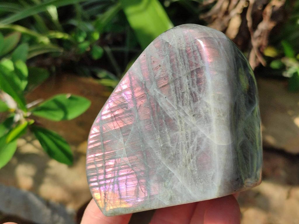 Polished Rare Purple Sunset Labradorite Standing Free Forms x 6 From Madagascar