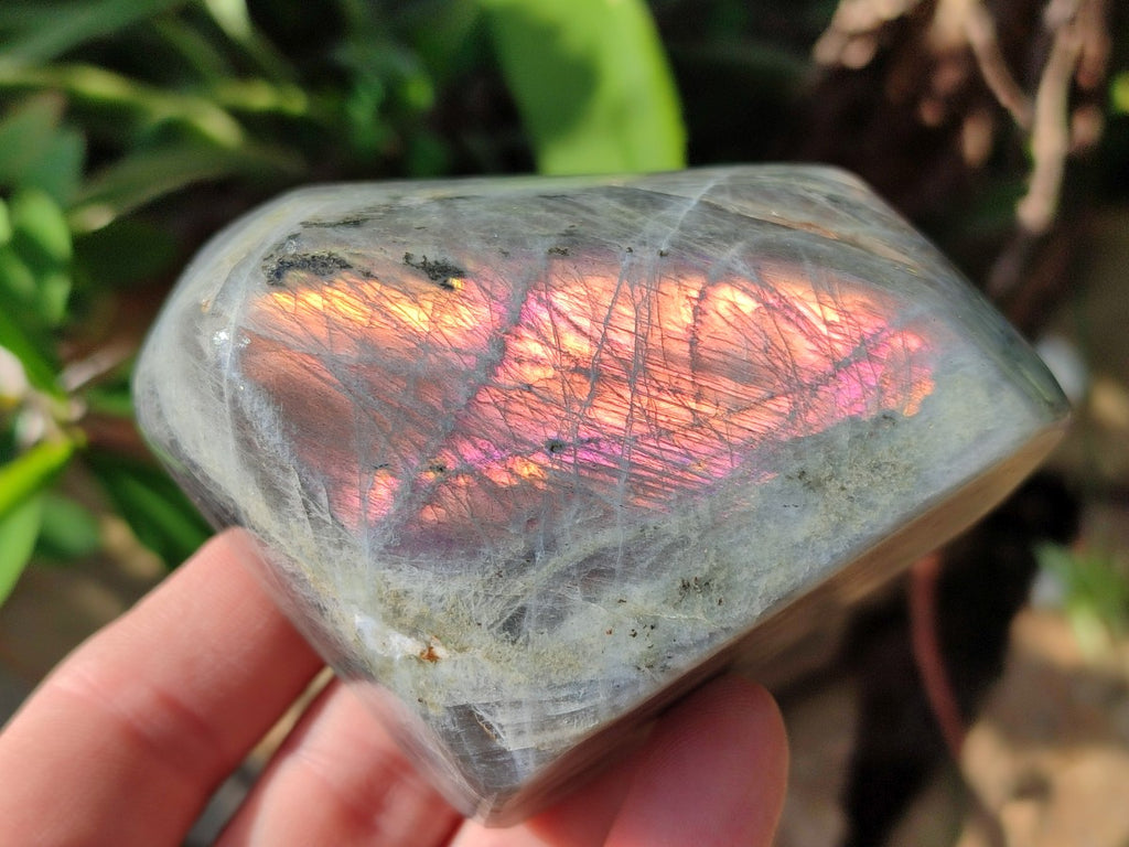 Polished Rare Purple Sunset Labradorite Standing Free Forms x 6 From Madagascar