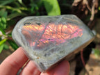 Polished Rare Purple Sunset Labradorite Standing Free Forms x 6 From Madagascar
