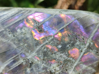 Polished Rare Purple Sunset Labradorite Standing Free Forms x 6 From Madagascar
