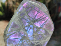 Polished Rare Purple Sunset Labradorite Standing Free Forms x 6 From Madagascar