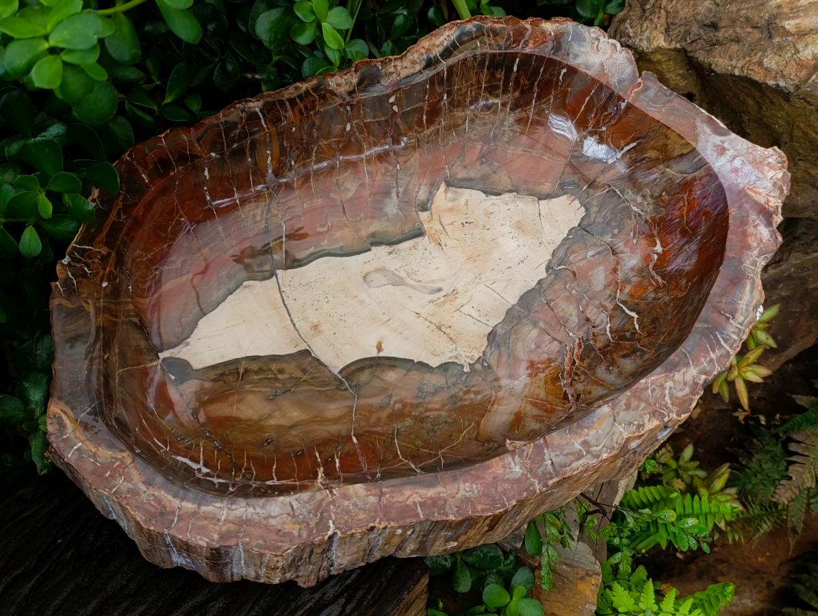 Polished XL Red Podocarpus Petrified Wood Bowl x 1 From Mahajanga, Madagascar
