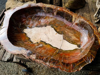 Polished XL Red Podocarpus Petrified Wood Bowl x 1 From Mahajanga, Madagascar