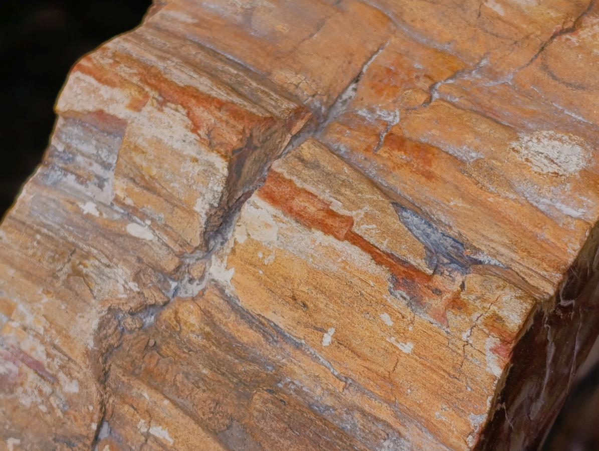Polished XL Red Podocarpus Petrified Wood Bowl x 1 From Mahajanga, Madagascar