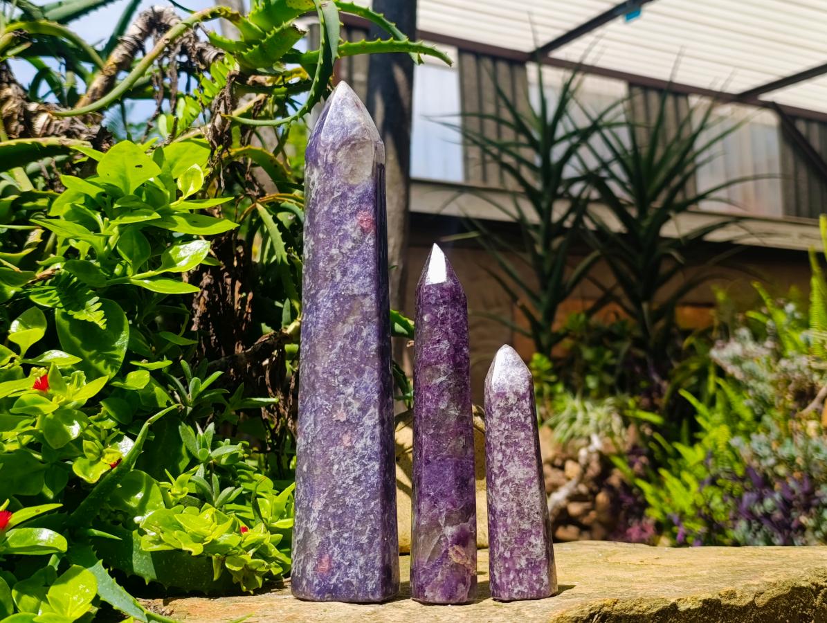 Polished Lepidolite With Pink Rubellite Tourmaline Crystals x 3 From Ambatondrazaka, Madagascar