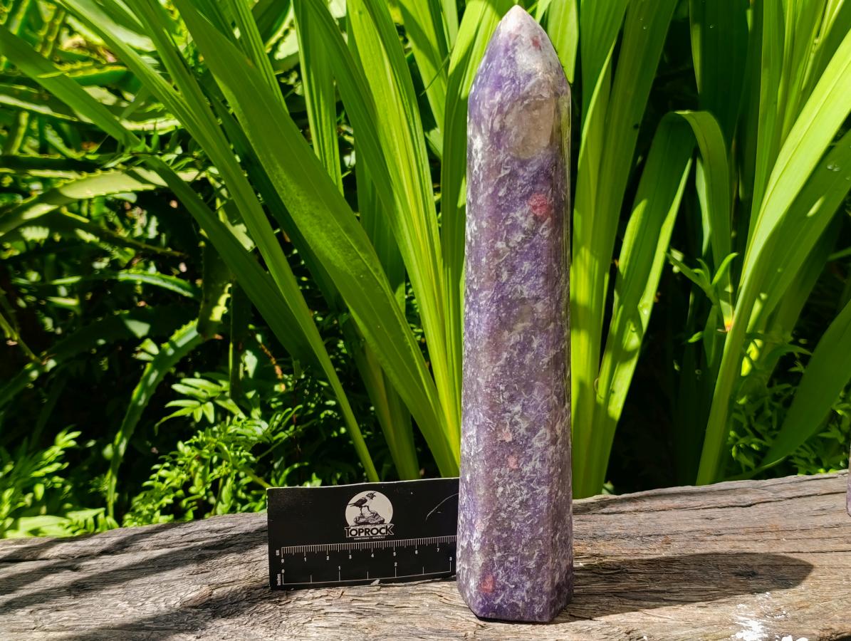 Polished Lepidolite With Pink Rubellite Tourmaline Crystals x 3 From Ambatondrazaka, Madagascar