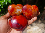 Polished Carnelian Agate Gemstone Hearts x 6 From Madagascar