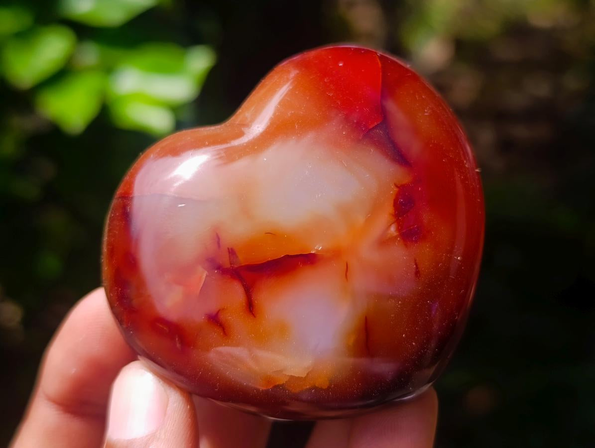 Polished Carnelian Agate Gemstone Hearts x 6 From Madagascar