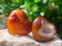 Polished Carnelian Agate Gemstone Hearts x 6 From Madagascar