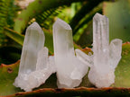Natural Clear Quartz Clusters x 35 From Madagascar