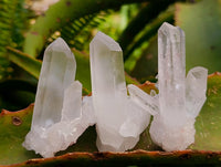 Natural Clear Quartz Clusters x 35 From Madagascar