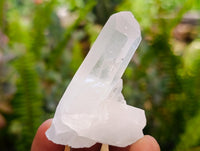 Natural Clear Quartz Clusters x 35 From Madagascar