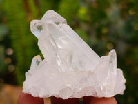 Natural Clear Quartz Clusters x 35 From Madagascar